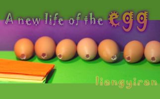 鸡蛋的英语怎么读egg