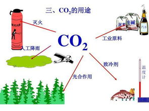 除去二氧化碳中的一氧化碳可以点燃吗，用点燃的方法除去二氧化碳中的一氧化碳