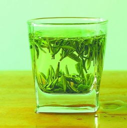 龙井茶属于绿茶吗