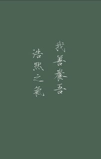吾善养吾浩然之气原文，吾善养吾浩然之气读后感