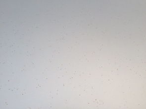 油漆怎么洗掉 4个洗掉油漆的方法