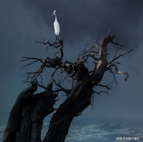 一览众山小,高处不胜寒的意思，高处不胜寒的胜读音