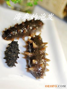 发海参煮多长时间，发海参多长时间换一次水