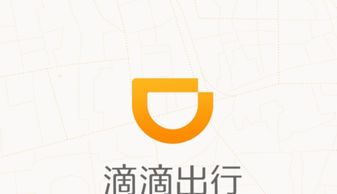 我想跑滴滴车主不是我可以跑吗?