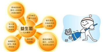 益生菌什么时间段吃效果好