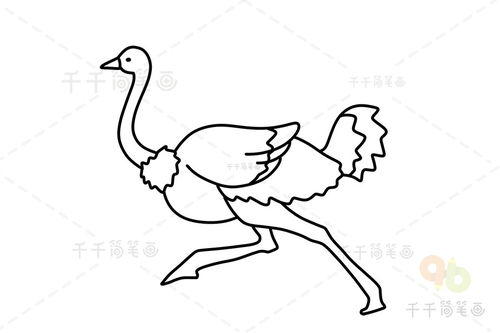 鸵鸟简笔画彩色，儿童画鸵鸟简笔画