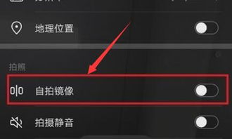 华为手机镜像功能在哪打开，苹果手机的镜像配置在哪里