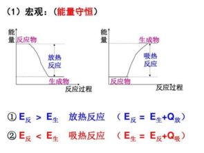 吸热反应和放热反应的图像，常见的吸热反应和放热反应