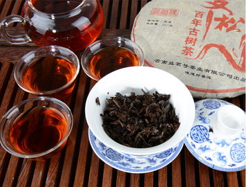 普洱酚脂瘦会反弹吗