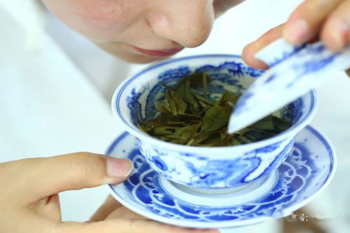 白茶怎么喝法