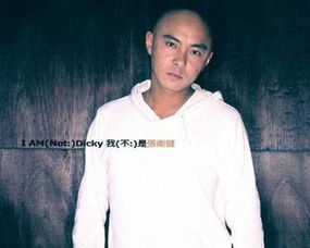 你说你爱我像谁,这是什么歌的歌词