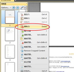 pdf删除一页怎么删除