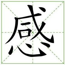 龙可以加什么偏旁并组词