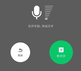 电子版照片是什么意思 电子版照片解释