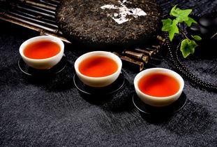 冰岛普洱茶多少钱一斤，猫耳朵普洱茶多少钱一斤