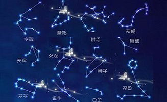 12月份是什么星座