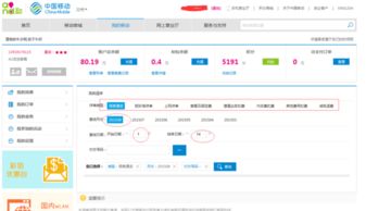 中国移动详单查询系统繁忙，中国移动详单查询怎么删除