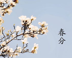 春分节气吃什么传统食物 春分吃的食物介绍