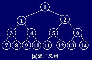 满字属于什么结构,满字的结构