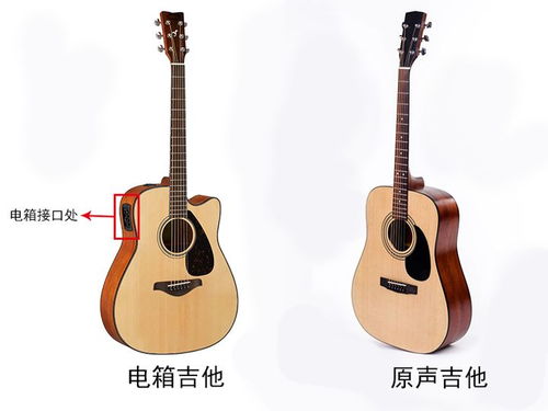 电箱吉他和普通吉他有什么区别?