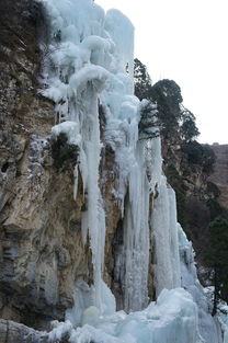 "已是悬崖百丈冰,犹有花枝俏"这两句词描写是哪个季节的景色?