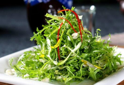 苦菊禁忌食物，苦兰菊的功效及禁忌
