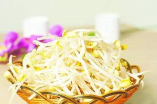 如何制作豆芽