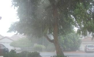 形容大雨的词语四个字，形容大雨的词语(除暴雨、小雨)
