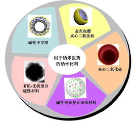 纳米技术的运用作文，纳米技术的运用100字