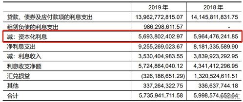 资本化利息支出计入财务费用吗，资本化利息支出和费用化利息支出