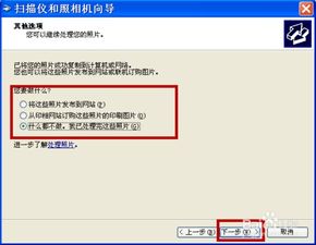 电脑怎么扫描文件