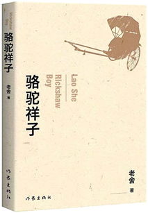骆驼祥子经典段落鉴赏笔记