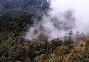 黑竹沟在四川的哪里
