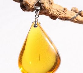 琥珀这一课中琥珀的形成条件是什么?