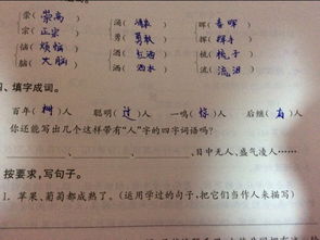 夸人的四字成语100个，夸人美的四字成语