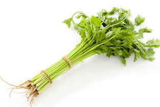 芹菜煮水喝有什么功效和禁忌，我喝芹菜汁喝了三年