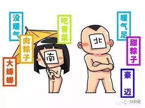 北方和南方的区别是什么?