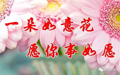 对女儿说十二岁祝福语100字，对女儿说十二岁祝福,我也是第一次做妈妈