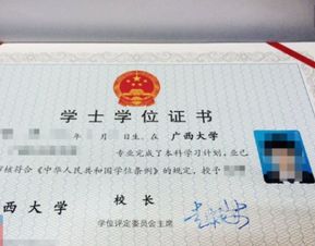 专科毕业是什么学位?