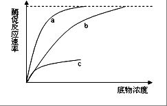 简述DNA的复制过程。