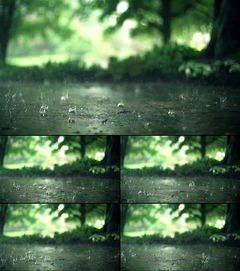 下雨的季节歌曲，下雨的季节更想你这首歌词