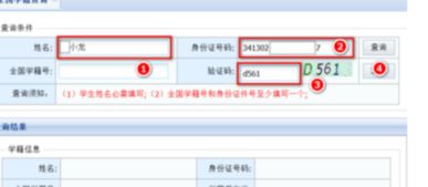 学籍号是什么