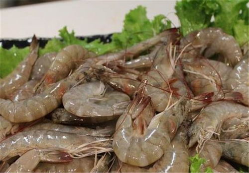 生虾可以吃吗