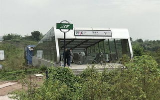 照样子填写合适的词:要填四个字的,什么地站?