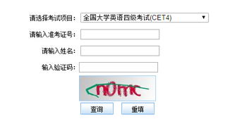 往年四级成绩查询入口，往年四级成绩查询可以查吗