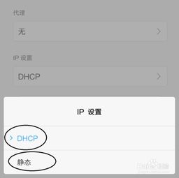 手机上网速度慢怎么办