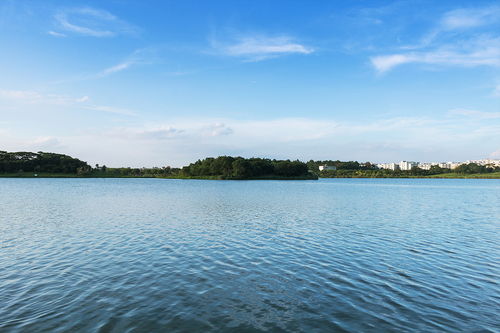 广州白云湖疫情，广州白云湖街道疫情最新消息