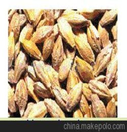 大麦和小麦的区别是什么?都是磨成面粉的吗?