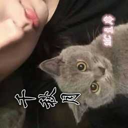 歌曲我的小可爱歌词，我的小可爱歌词儿歌