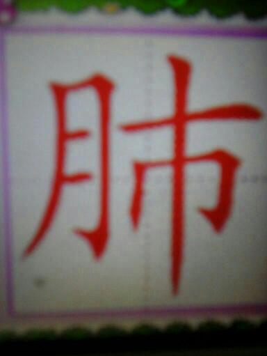肺的笔顺笔画
